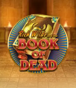 Embark on the thrilling world of Book of Dead by Play'n GO, presenting vivid graphics of Rich Wilde’s adventurous journey through ancient Egyptian tombs and artifacts. Discover lost riches with exciting mechanics like free spins, expanding symbols, and a gamble option. Ideal for adventure seekers with a desire for thrilling discoveries.